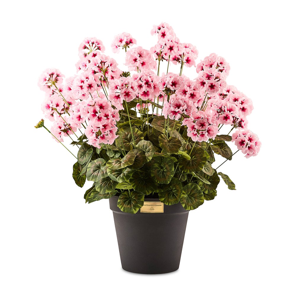 MACKENZIE-CHILDS Mackenzie-chilllds Geranium Urn Filler - Image 2